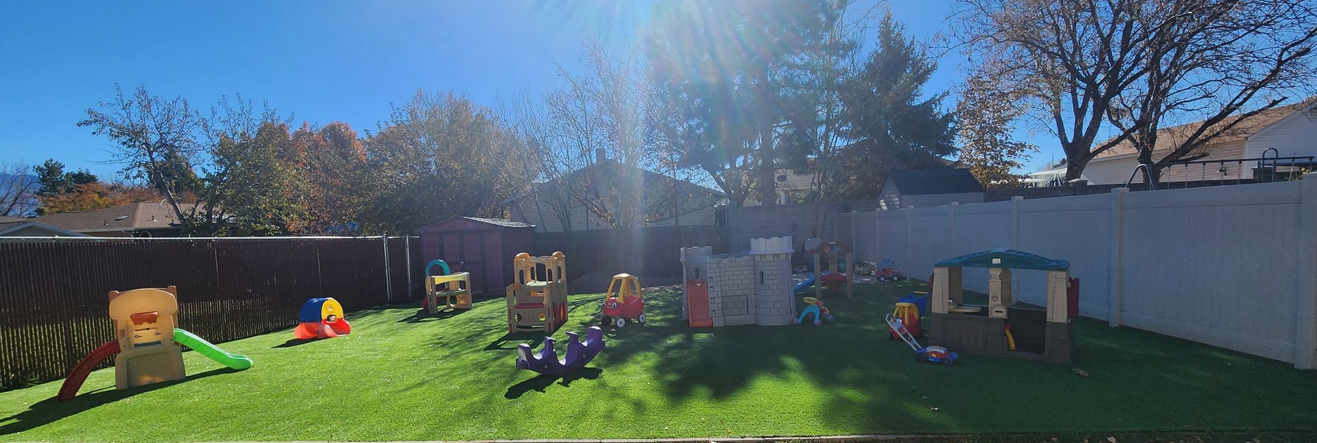 Backyard 1